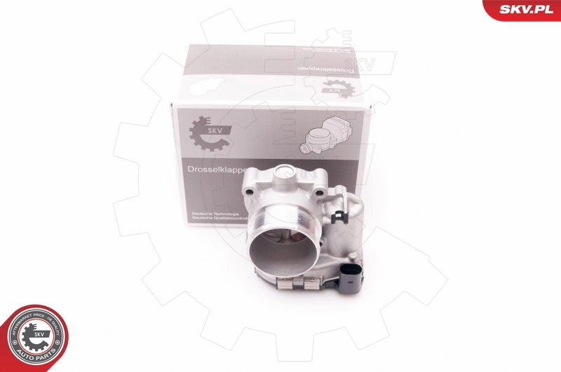 Throttle Body